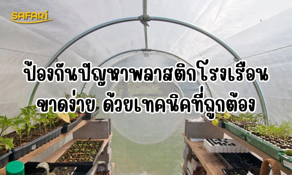 ป้องกันปัญหาพลาสติกโรงเรือนขาดง่าย
