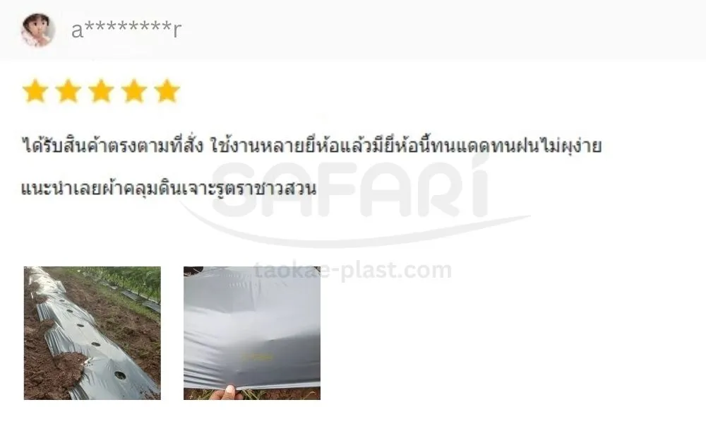 พลาสติกคลุมดิน