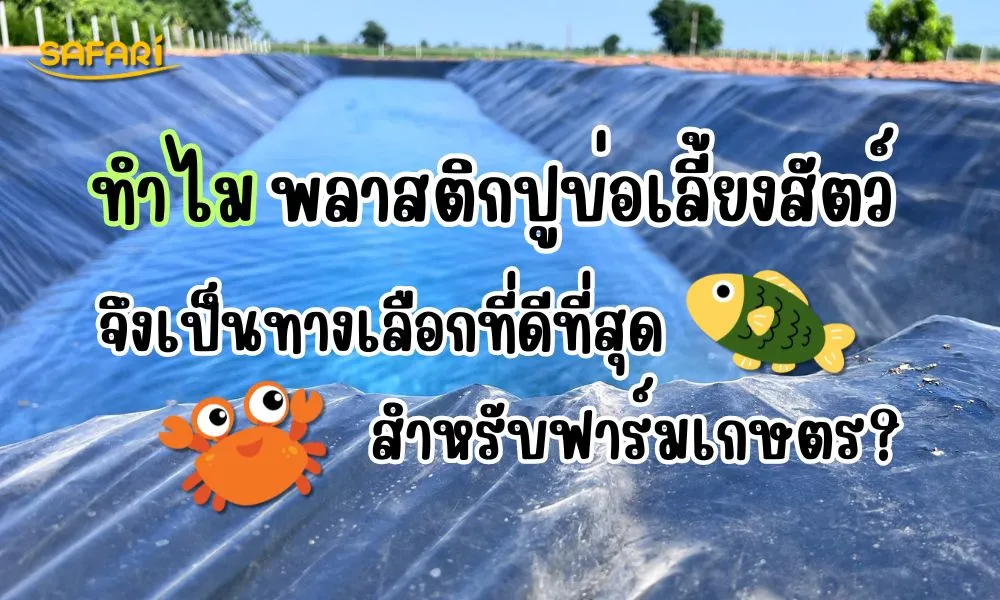 พลาสติกปูบ่อเลี้ยงสัตว์น้ำ-2