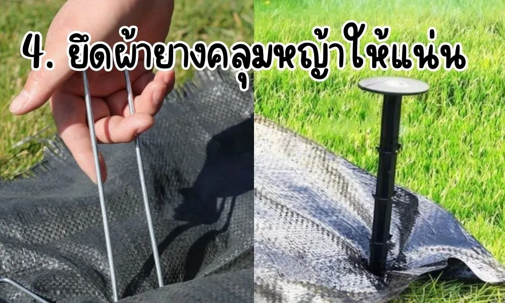 ผ้ายางคลุมหญ้า
