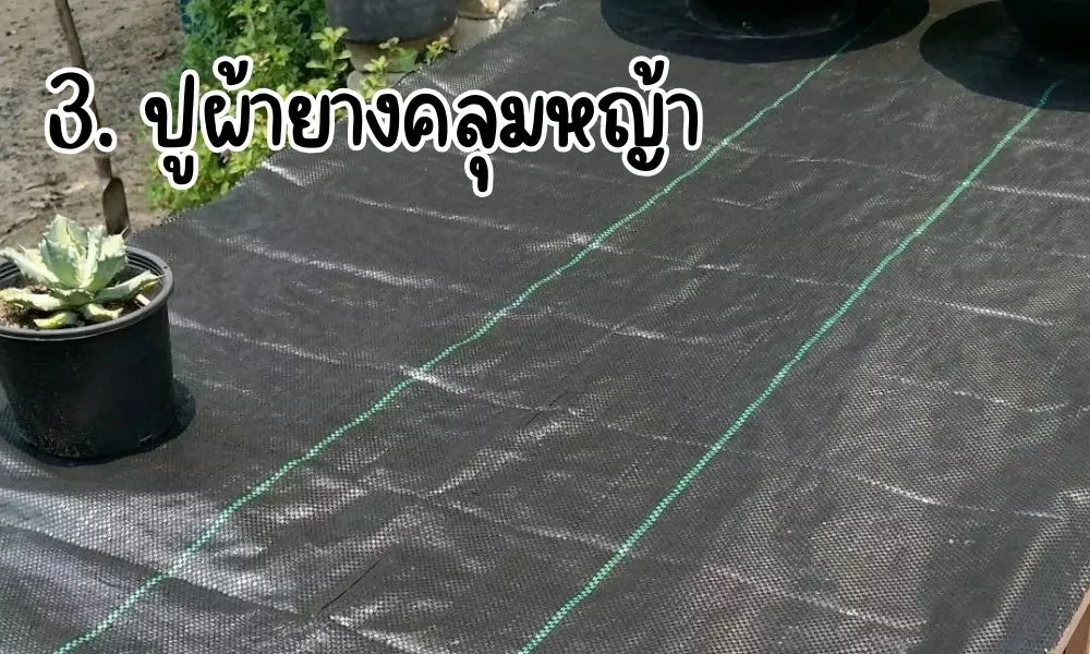 ผ้ายางคลุมหญ้า