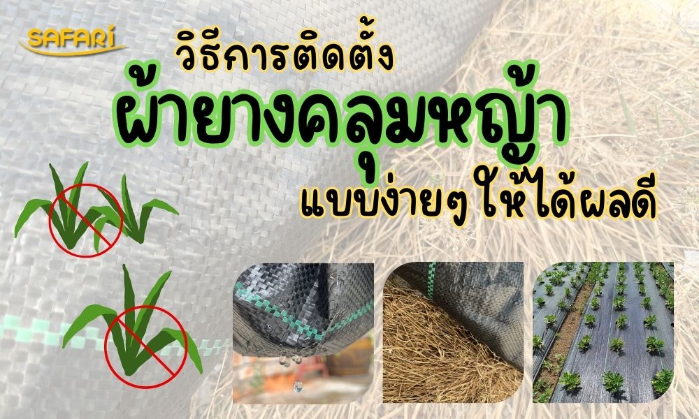 วิธีการติดตั้งผ้ายางคลุมหญ้า