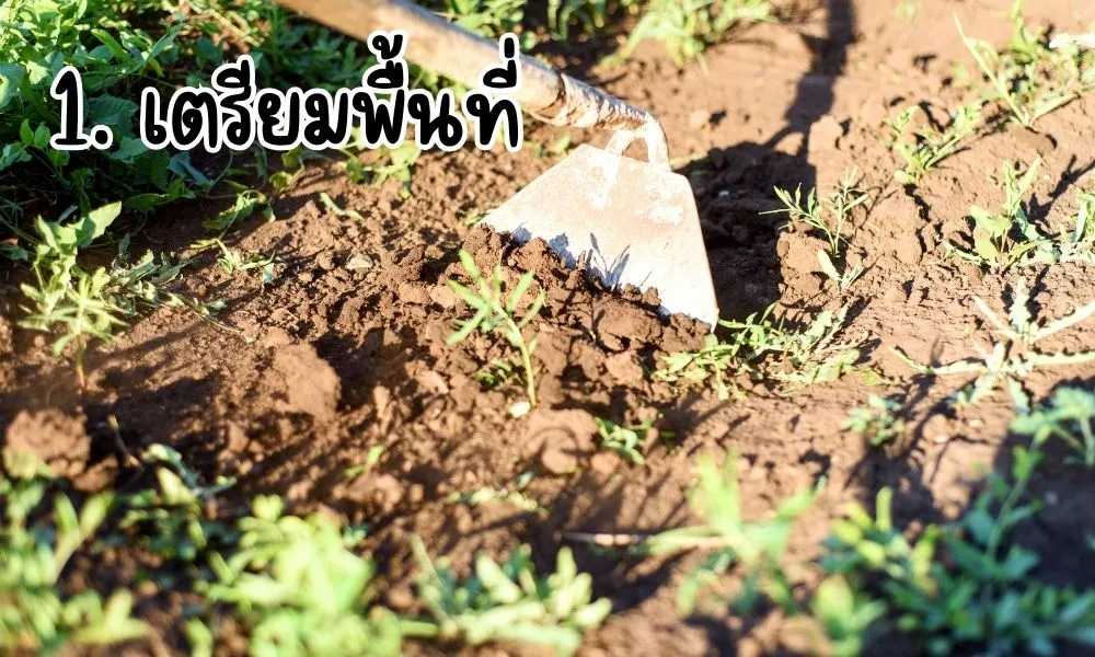 ผ้ายางคลุมหญ้า