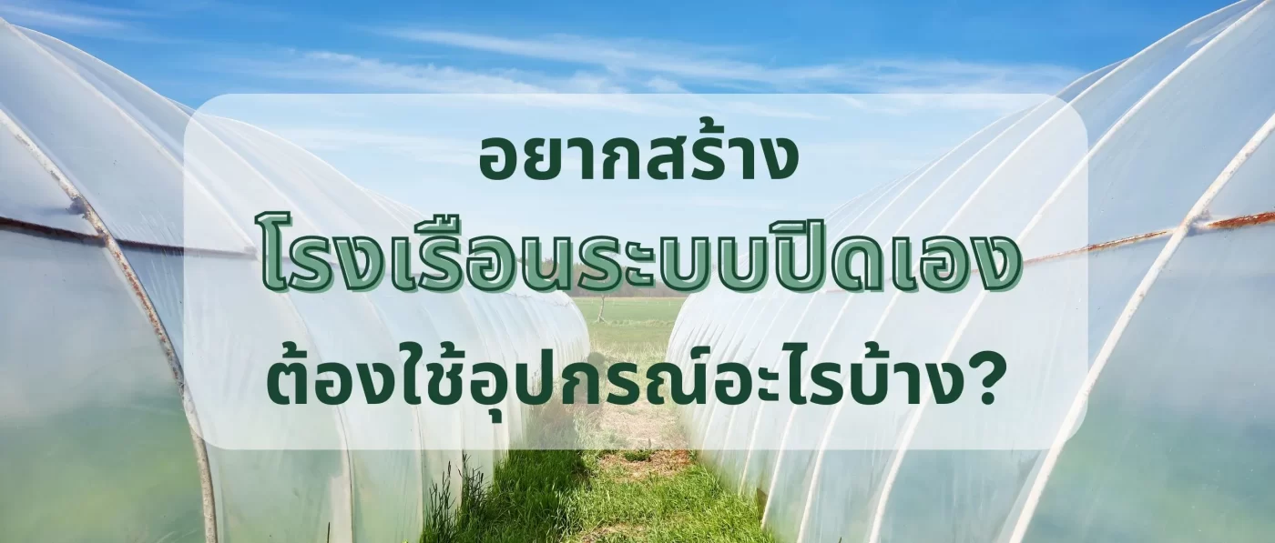 ปลูกพืชนอกฤดูกาล