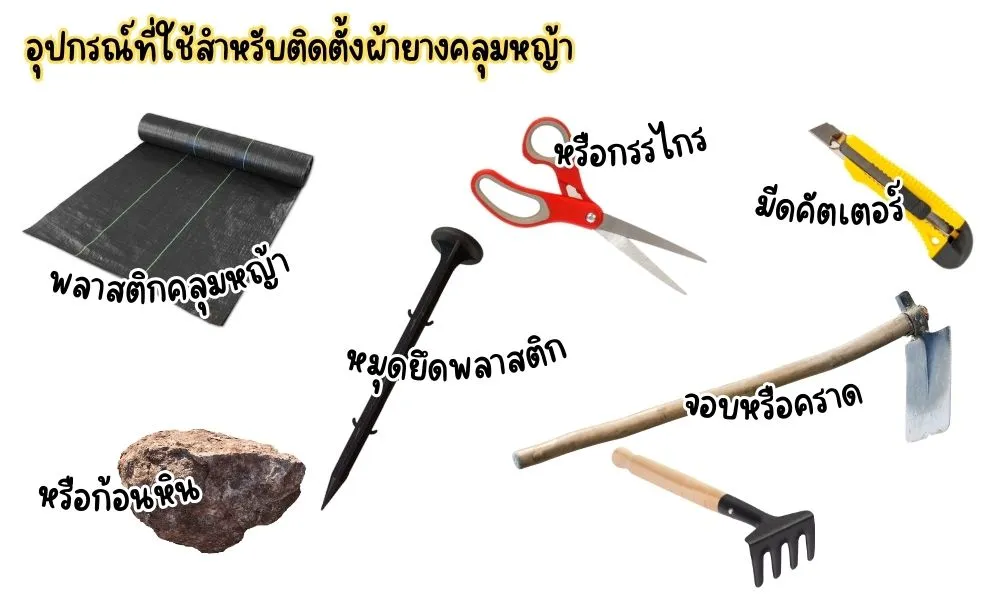 ผ้ายางคลุมหญ้า