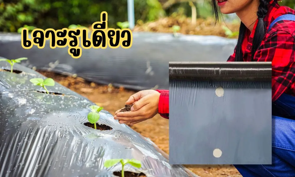 วิธีเจาะรูพลาสติกคลุมดิน