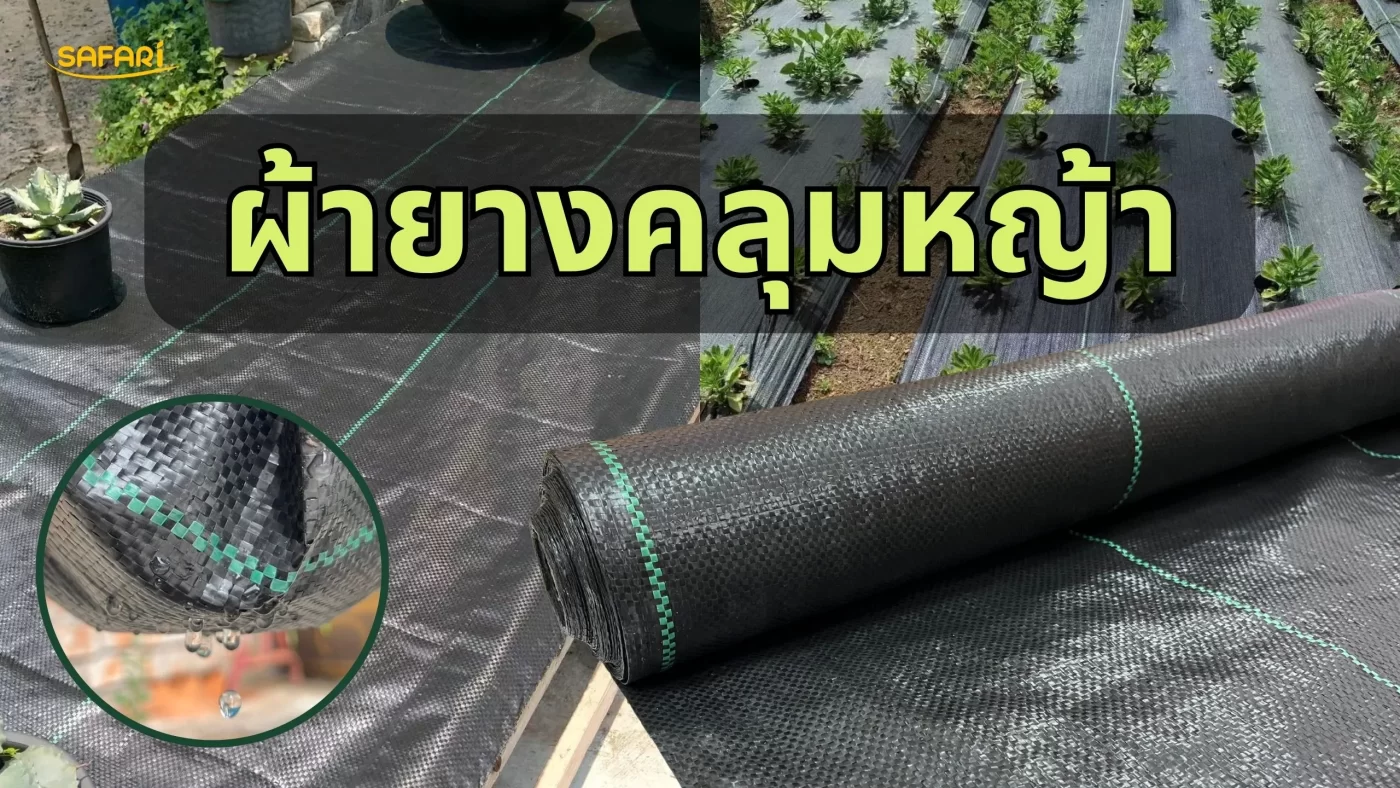 เปรียบเทียบพลาสติกคลุมหญ้า