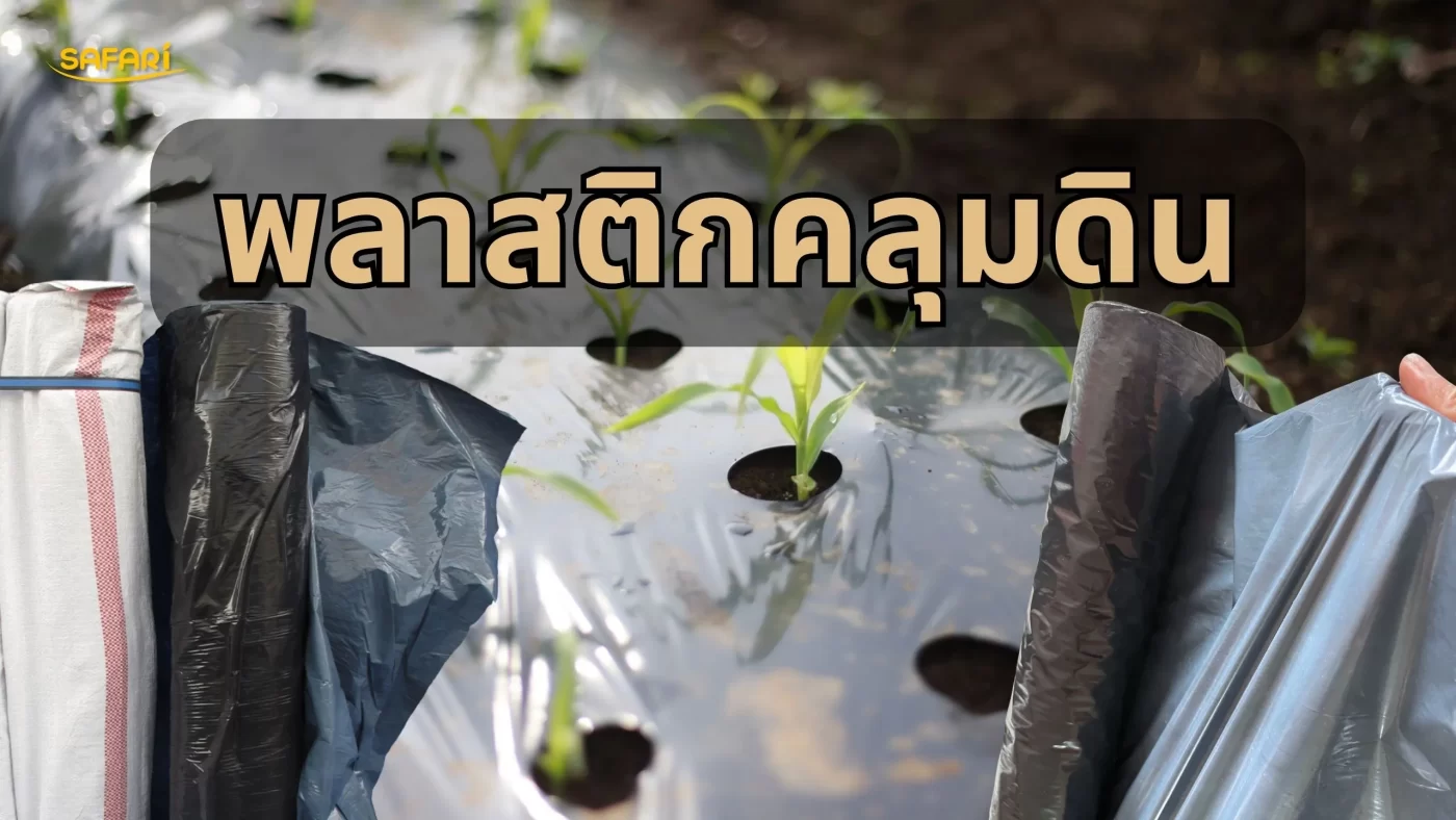 เปรียบเทียบพลาสติกคลุมหญ้า