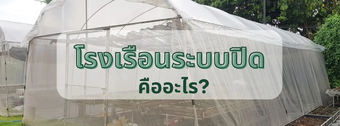 ปลูกพืชนอกฤดูกาล-2