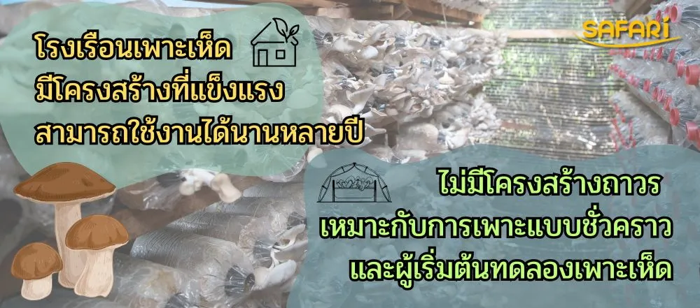 โรงเรือนเห็ดกับกองเพาะเห็ดแบบไหนดีกว่ากัน