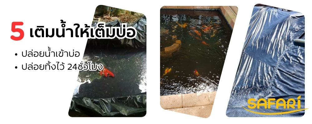 ผ้ายางปูบ่อ
