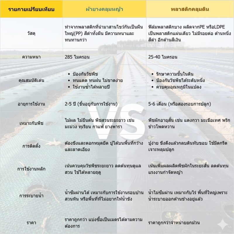 ตารางเปรียบเทียบ