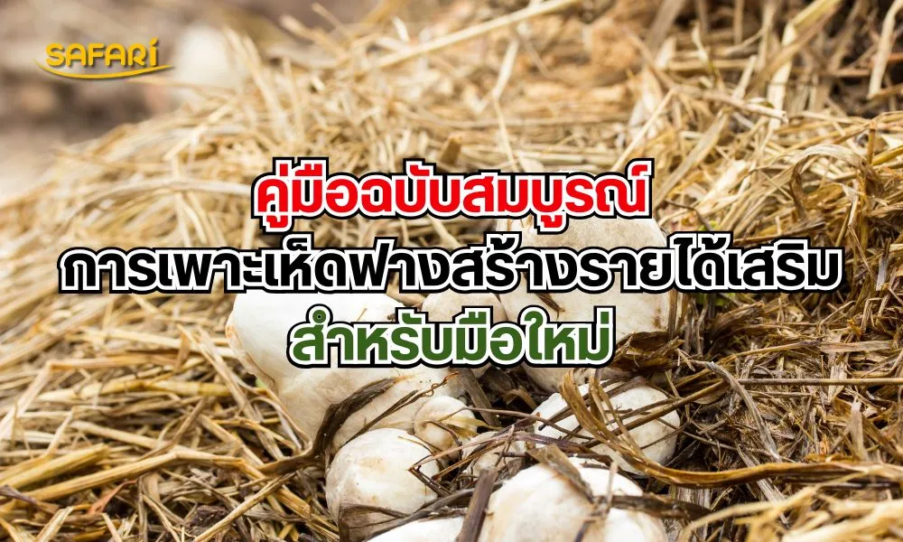 คู่มือการเพาะเห็ดฟาง