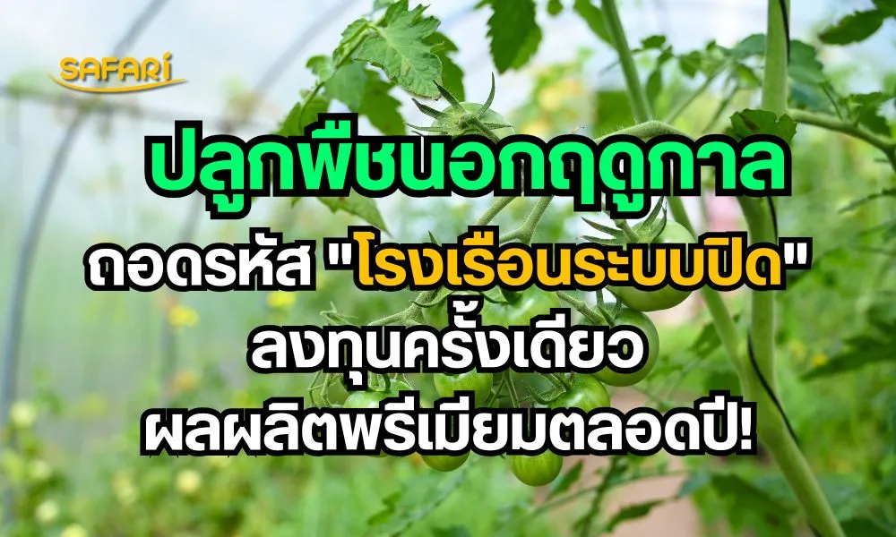 ปลูกพืชนอกฤดูกาล