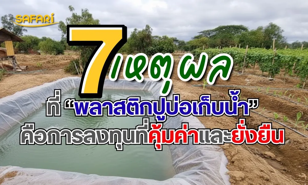 พลาสติกปูบ่อเก็บน้ำ