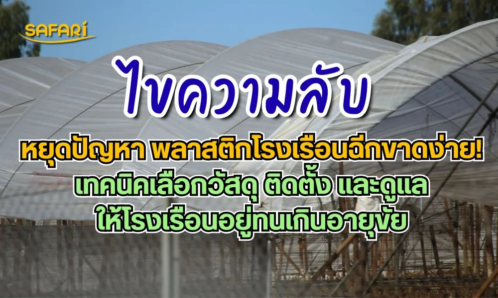 พลาสติกโรงเรือนฉีกขาดง่าย