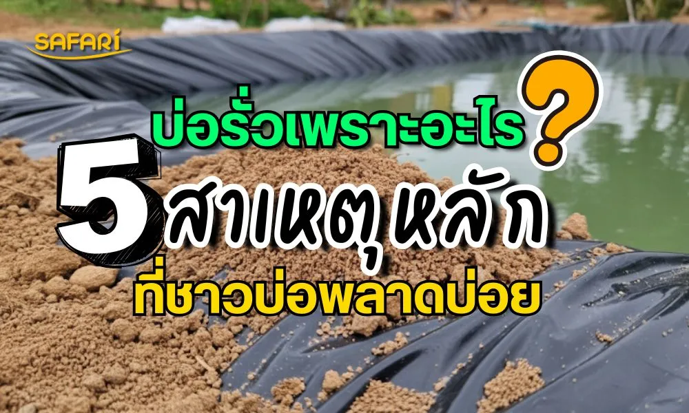 บ่อรั่วเพราะอะไร