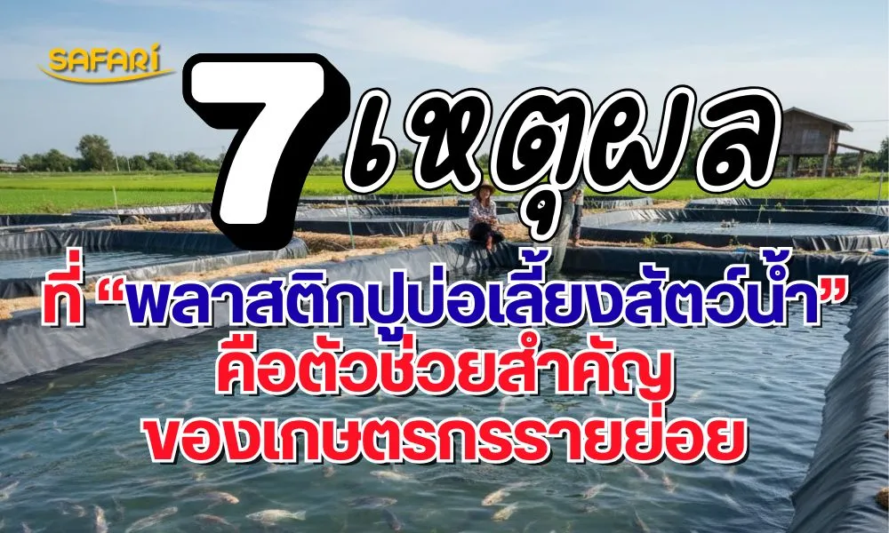 พลาสติกปูบ่อเลี้ยงสัตว์น้ำ