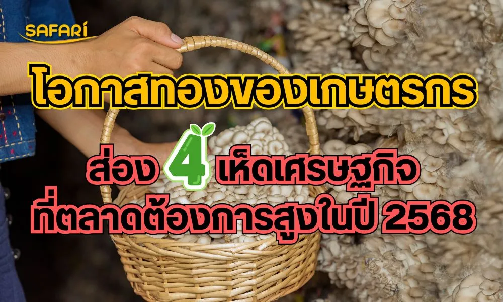 เห็ดเศรษฐกิจ2568