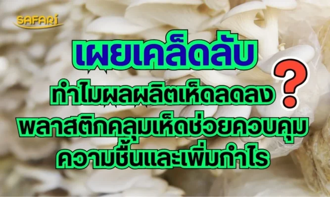 โรงเรือนพลาสติก เคล็ดลับ