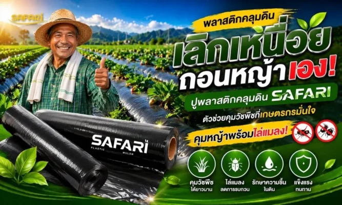 ปัญหาหญ้าขึ้นในแปลงผัก-หน้าปก