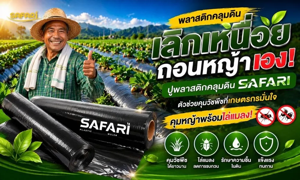 ปัญหาหญ้าขึ้นในแปลงผัก-หน้าปก