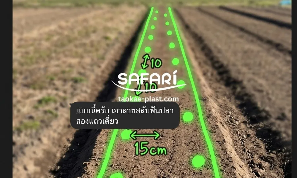 ผ้ายางคลุมดิน - รูไขว้