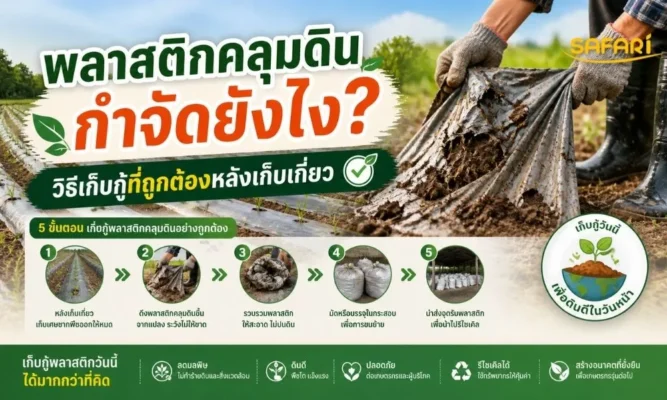 พลาสติกคลุมดินกำจัดยังไง-วิธีเก็บกู้ที่ถูกต้องหลังเก็บเกี่ยว